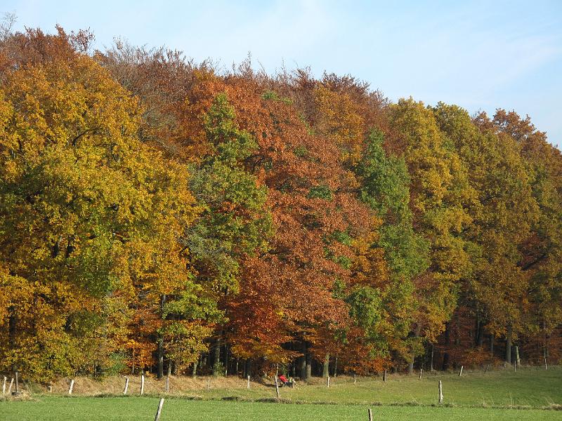 2011-10-31, Malerweg (45).JPG